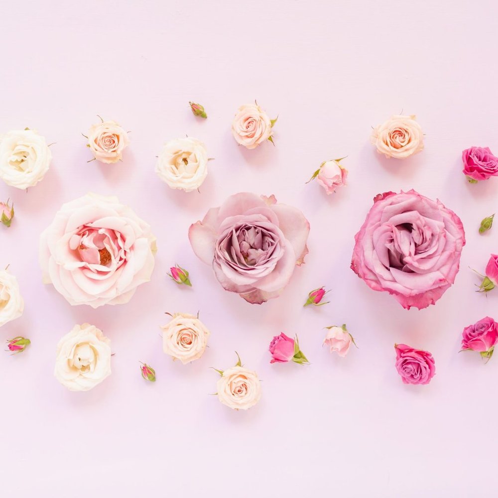 Meet your Posher bella